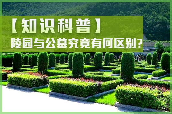 公墓和陵园有什么区别？