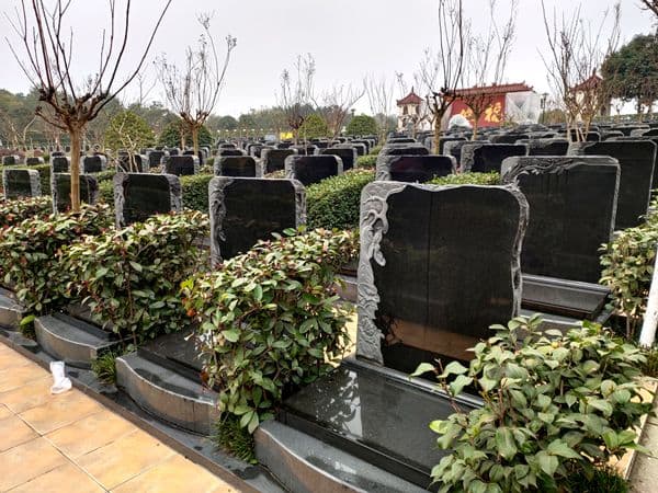 闰二月清明能上坟吗？民俗专家：清明就是祭祀扫墓的日子
